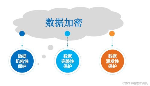 網(wǎng)絡(luò)安全面臨的威脅與網(wǎng)絡(luò)與信息安全軟件開(kāi)發(fā)的關(guān)鍵作用